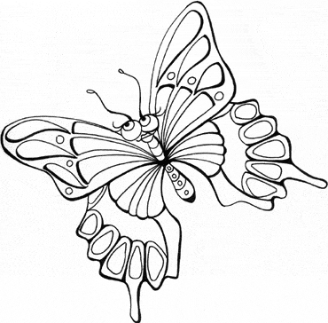 butterfly coloring page